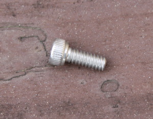 Dan Wesson Small Frame Side Plate Screw 1/4" S.S.